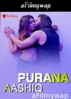 Purana Aashiq (2024) Triflicks Hindi Hot Short Film