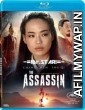 The Assassin (2015) UNCUT Hindi Dubbed Movie