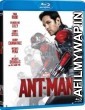  Ant-Man (2015) Dual Audio Hindi Dubbed Movie